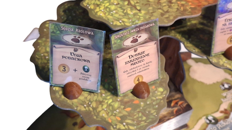 20260126_134539-Photoroom.jpg