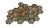 20260612_134620-Photoroom.jpg