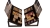 20240130_172932-Photoroom.jpg