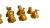 20261014_103321-Photoroom.jpg