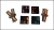 20241121_133310-Photoroom.jpg